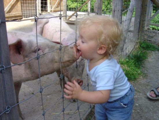 baby-kissing-pig